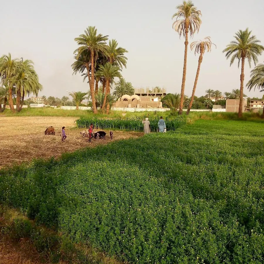 Apartment Desert Rose Guesthouse Luxor